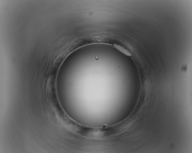 X0000112900217200908281733