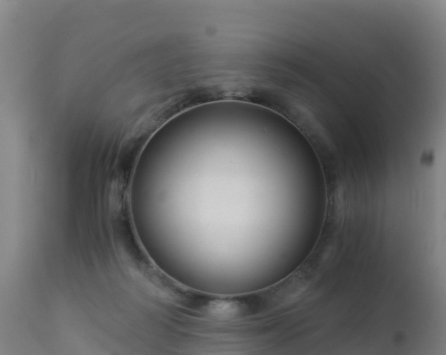 X0000112900218200908281733