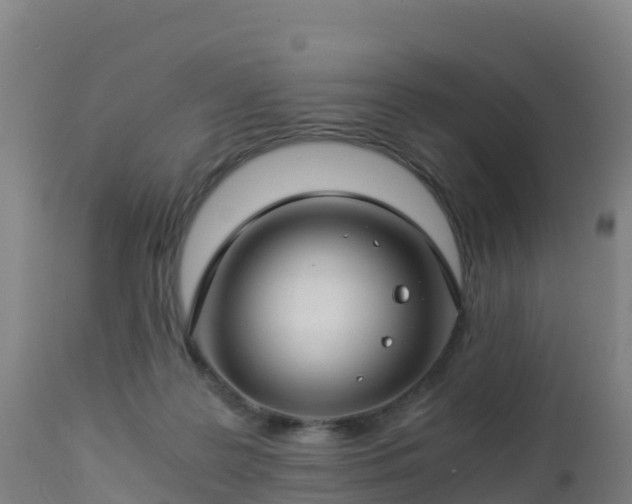 X0000112900219200908281733