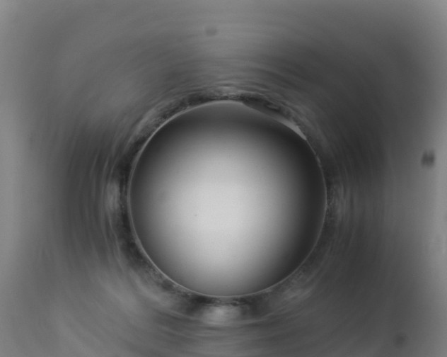 X0000112900220200908281733