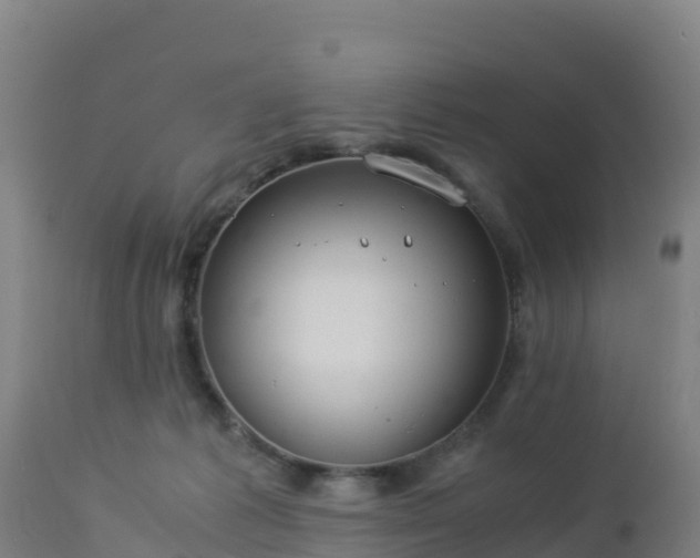 X0000112900221200908281733