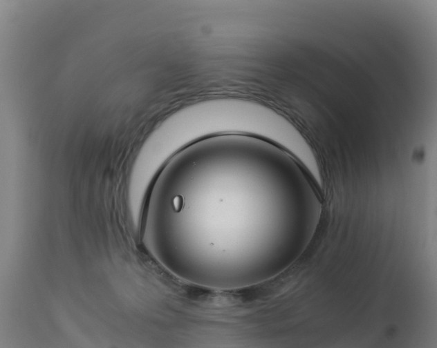 X0000112900223200908281733