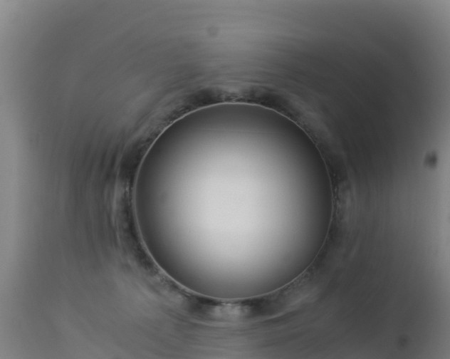 X0000112900225200908281733