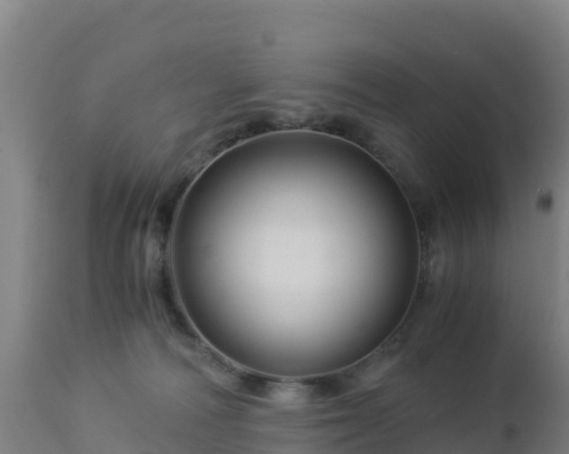 X0000112900226200908281733