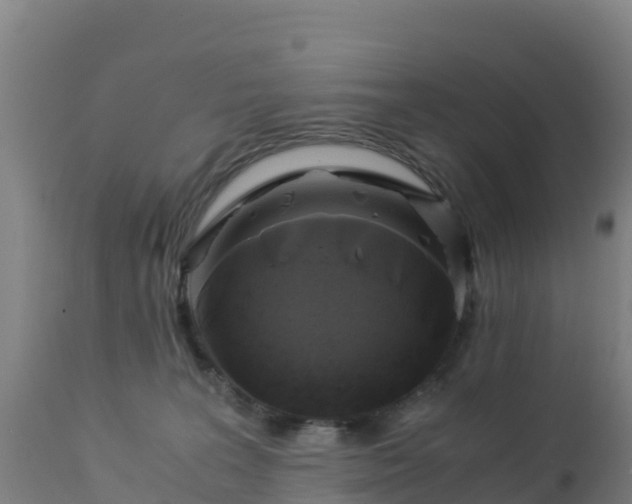 X0000112900227200908281733