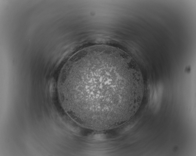 X0000112900228200908281733