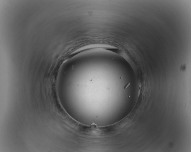 X0000112900229200908281733