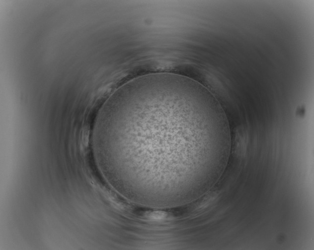 X0000112900230200908281733