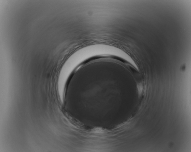 X0000112900231200908281733