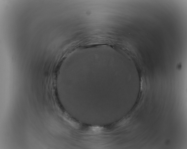 X0000112900233200908281733