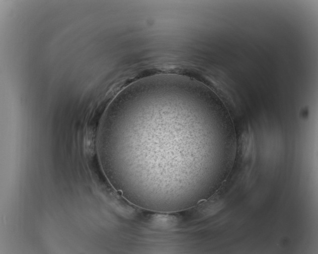 X0000112900234200908281733