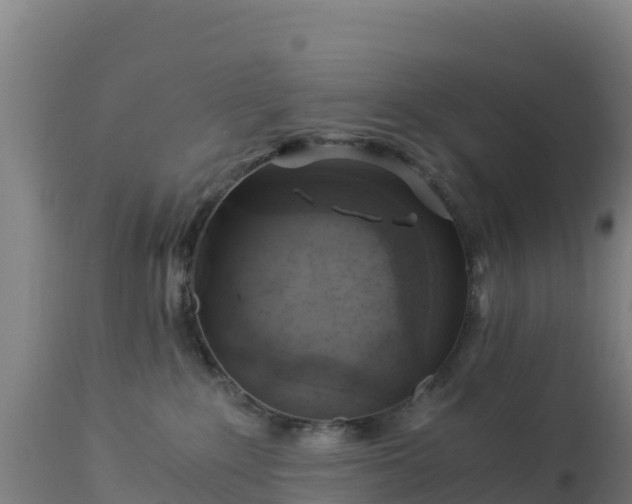 X0000112900235200908281733