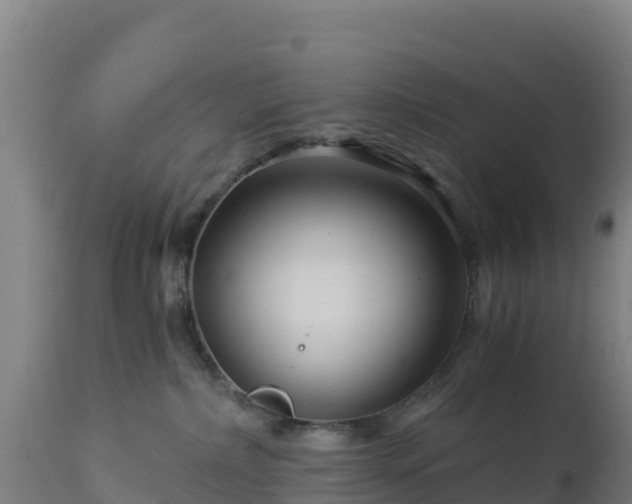 X0000112900236200908281733