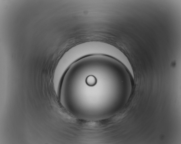 X0000112900237200908281733