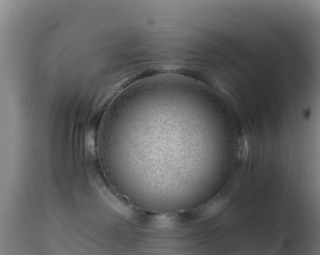 X0000112900238200908281733