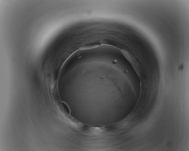 X0000112900239200908281733