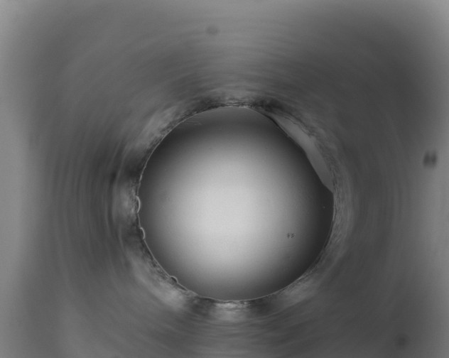 X0000112900240200908281733