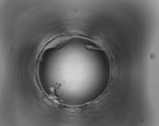 X0000112900241200908281732