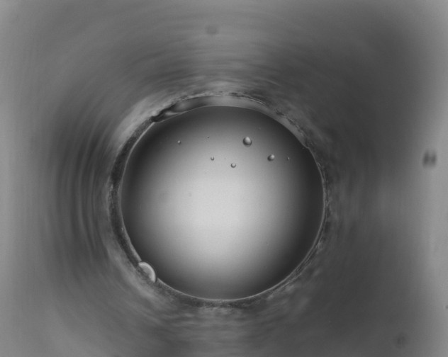 X0000112900242200908281732