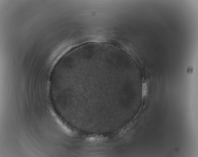 X0000112900243200908281732