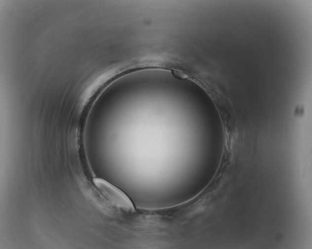 X0000112900244200908281732