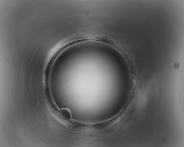 X0000112900246200908281732