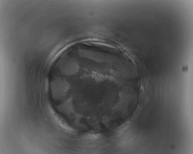 X0000112900247200908281732