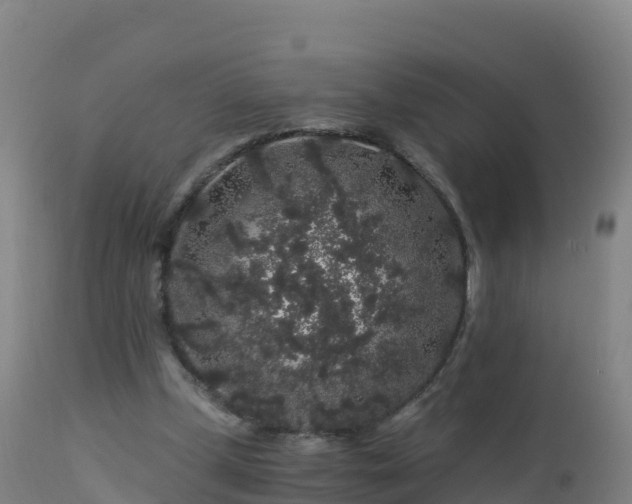 X0000112900249200908281732