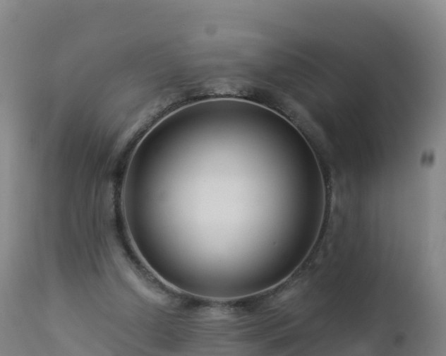 X0000112900250200908281732