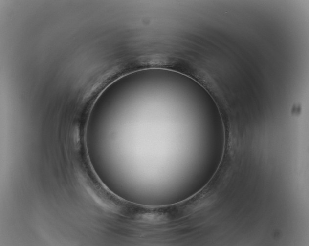 X0000112900251200908281732