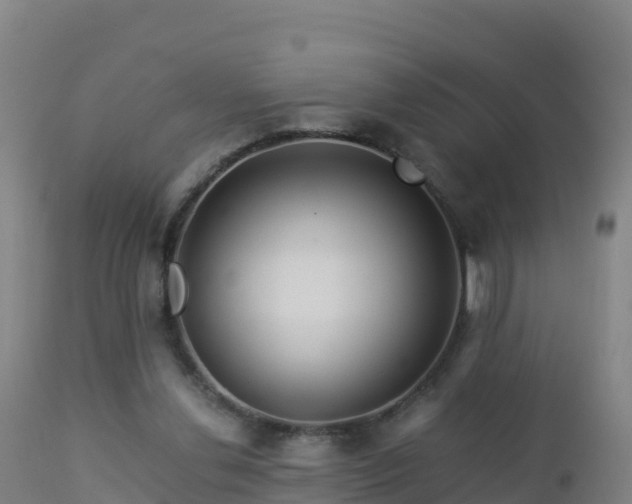 X0000112900252200908281732