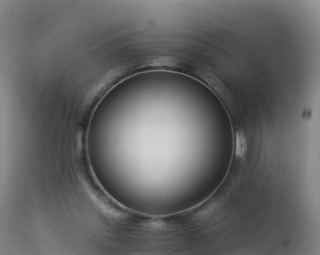 X0000112900253200908281733