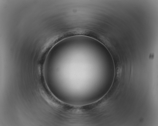 X0000112900254200908281733