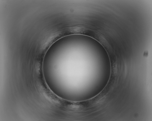 X0000112900255200908281733