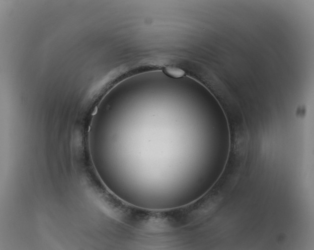 X0000112900256200908281733