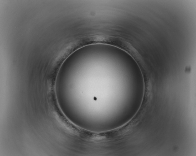 X0000112900257200908281733