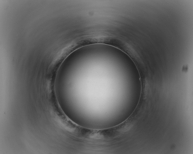 X0000112900258200908281733