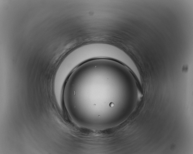 X0000112900260200908281733