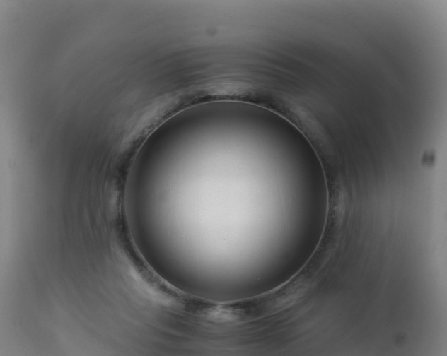 X0000112900261200908281733