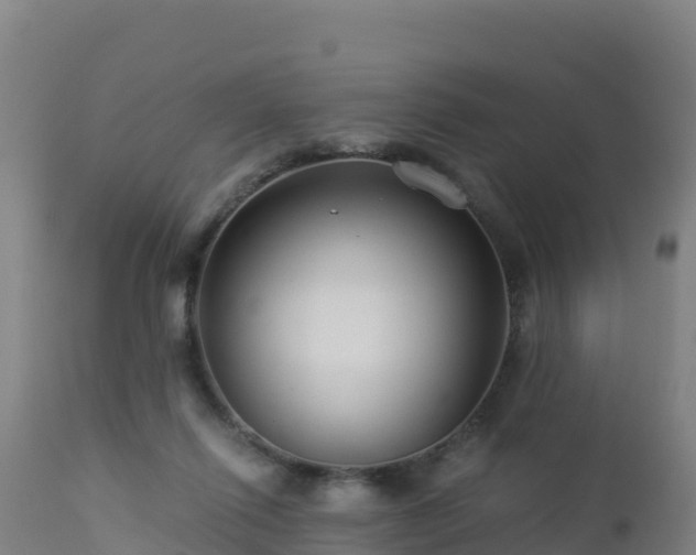 X0000112900262200908281733