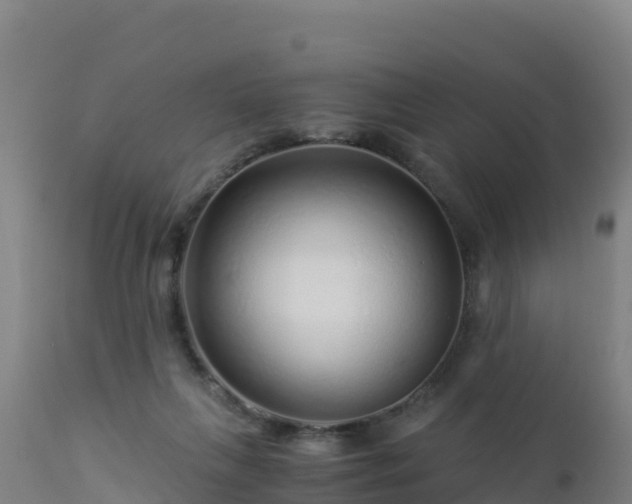 X0000112900263200908281733