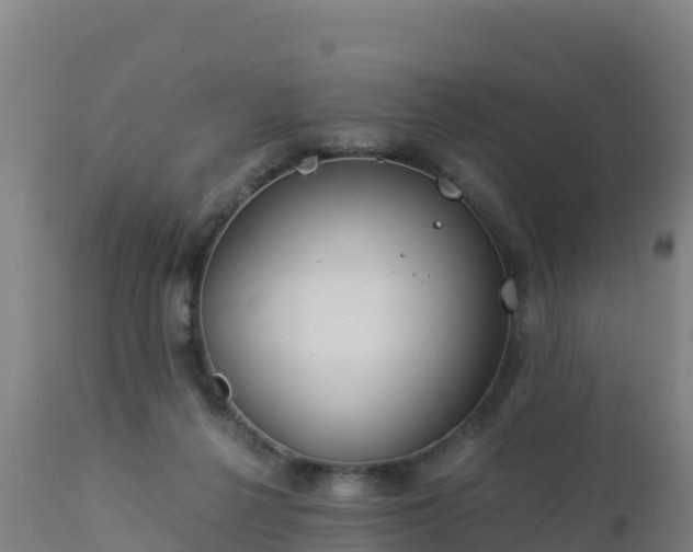 X0000112900264200908281733