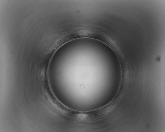 X0000112900265200908281733