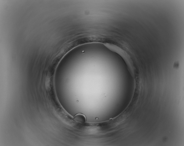 X0000112900266200908281733