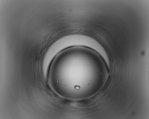 X0000112900268200908281733