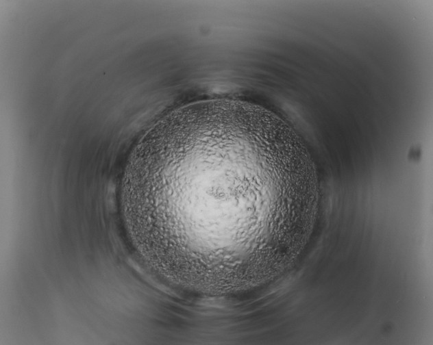 X0000112900269200908281733