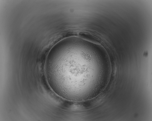 X0000112900270200908281733