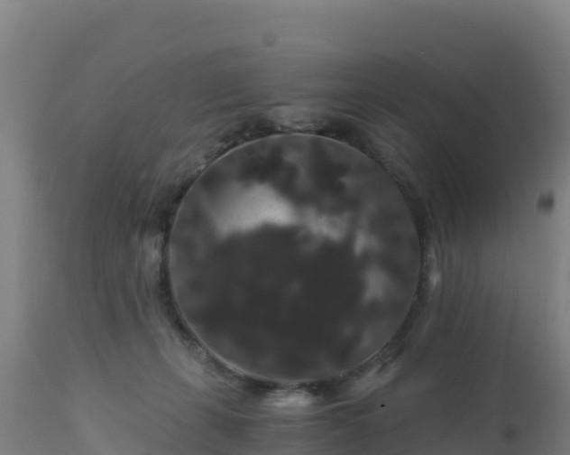 X0000112900271200908281733