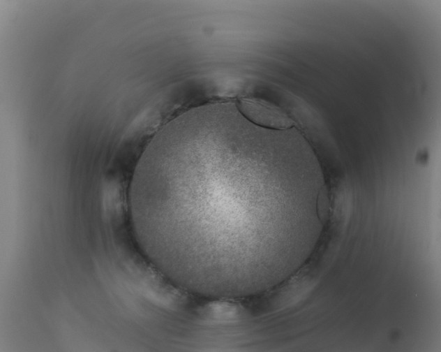 X0000112900272200908281733