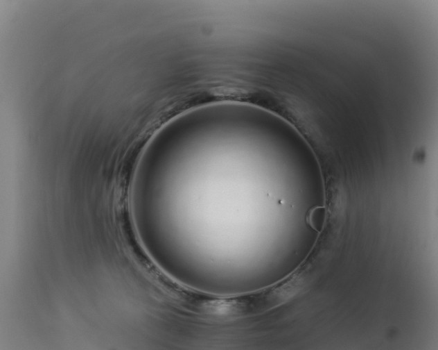 X0000112900273200908281733